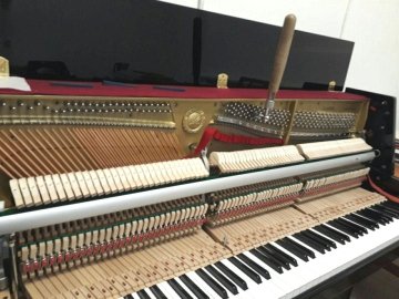 Настройка фортепиано (пианино и рояли)