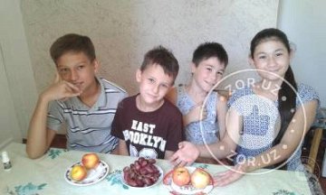 Обучение Школьников: Увлекательная математика, шахматы, узбекский